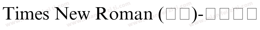 Times New Roman (正文)字体转换